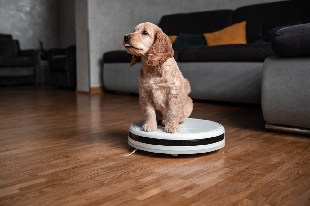 Pet-Safe Floor Cleaners