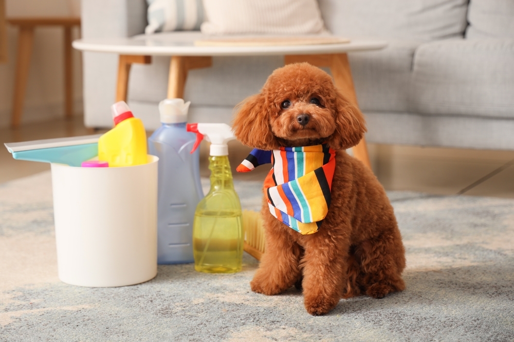 Pet-Safe Floor Cleaners