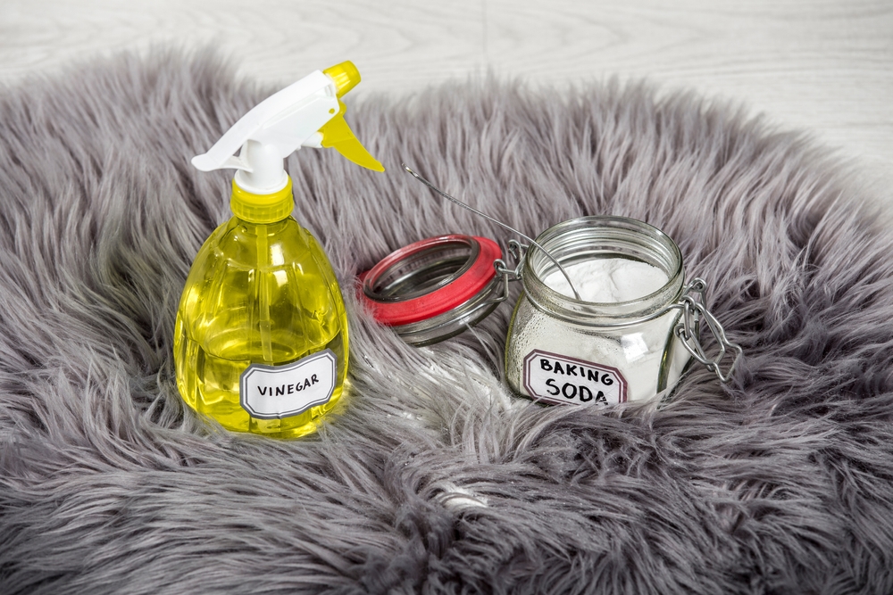Rust & Odor Remover